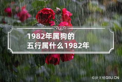 1982 生肖|82年属什么 1982年五行属什么